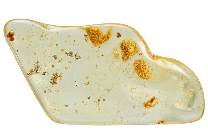 Polished Colombian Copal ( g) - Contains Termite & Enhydros! #326716